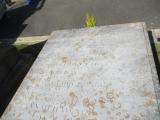 image of grave number 883342